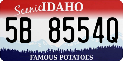 ID license plate 5B8554Q