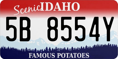 ID license plate 5B8554Y