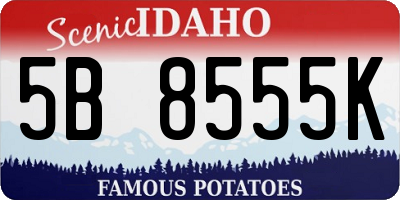ID license plate 5B8555K