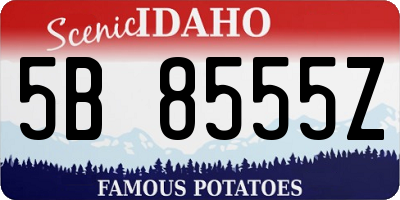 ID license plate 5B8555Z