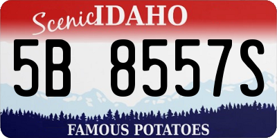 ID license plate 5B8557S