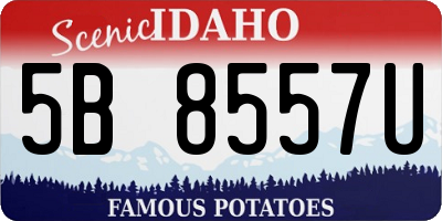 ID license plate 5B8557U