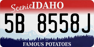 ID license plate 5B8558J