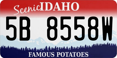 ID license plate 5B8558W