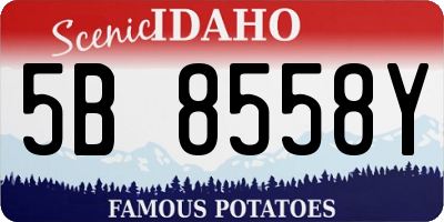 ID license plate 5B8558Y