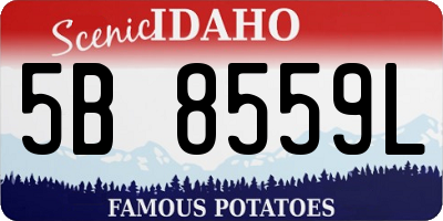 ID license plate 5B8559L