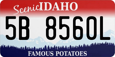 ID license plate 5B8560L