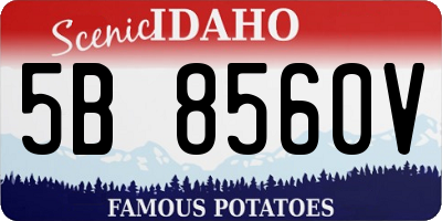 ID license plate 5B8560V