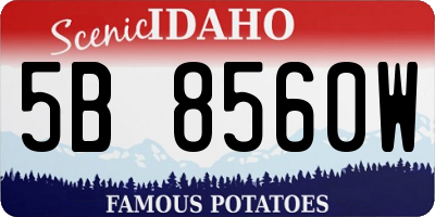 ID license plate 5B8560W