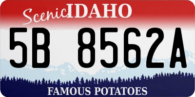 ID license plate 5B8562A