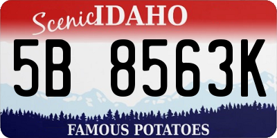 ID license plate 5B8563K