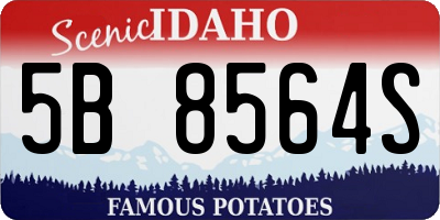 ID license plate 5B8564S