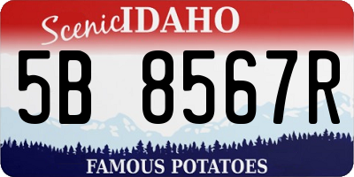 ID license plate 5B8567R
