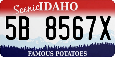 ID license plate 5B8567X