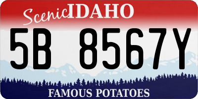 ID license plate 5B8567Y