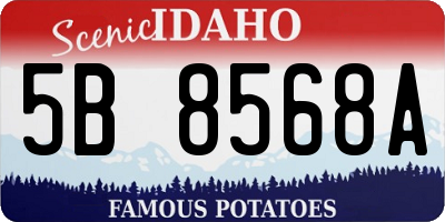 ID license plate 5B8568A
