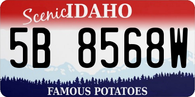 ID license plate 5B8568W