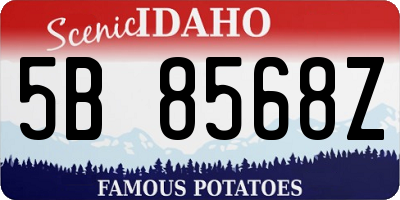 ID license plate 5B8568Z