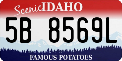 ID license plate 5B8569L