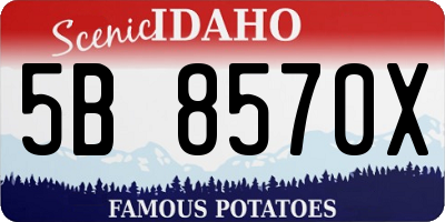 ID license plate 5B8570X