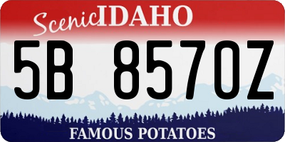 ID license plate 5B8570Z