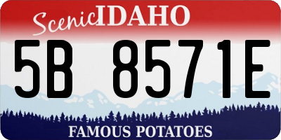 ID license plate 5B8571E