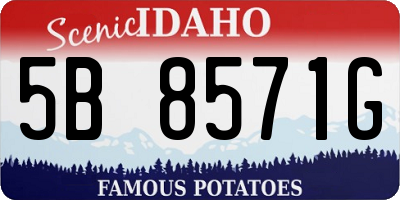 ID license plate 5B8571G