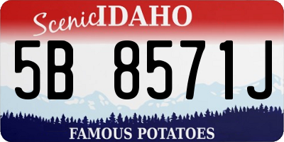 ID license plate 5B8571J