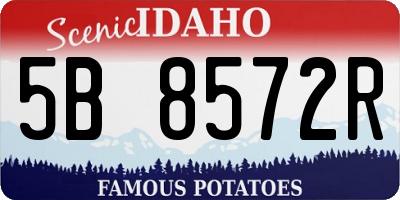 ID license plate 5B8572R