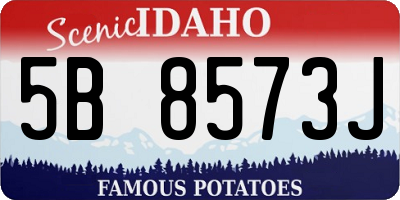 ID license plate 5B8573J