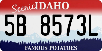 ID license plate 5B8573L