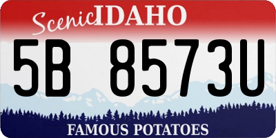 ID license plate 5B8573U