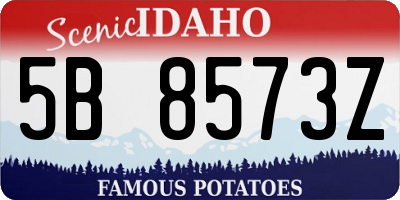 ID license plate 5B8573Z
