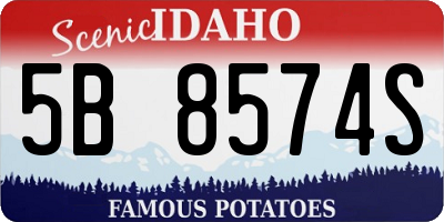 ID license plate 5B8574S