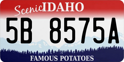 ID license plate 5B8575A