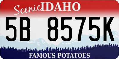 ID license plate 5B8575K