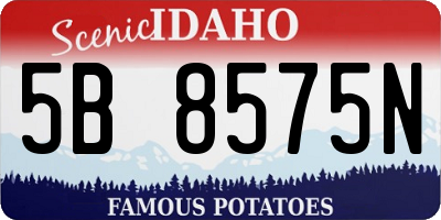 ID license plate 5B8575N