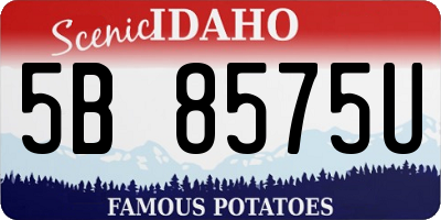 ID license plate 5B8575U