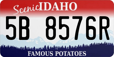 ID license plate 5B8576R