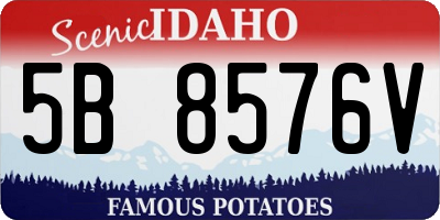 ID license plate 5B8576V