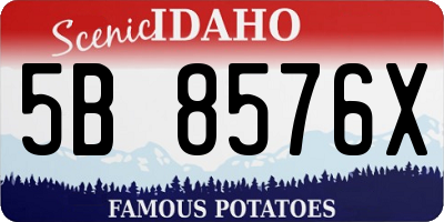 ID license plate 5B8576X