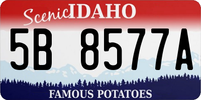 ID license plate 5B8577A