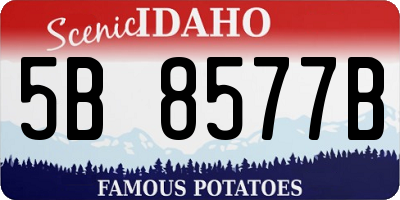ID license plate 5B8577B