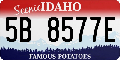 ID license plate 5B8577E