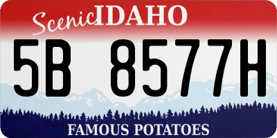 ID license plate 5B8577H
