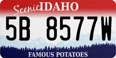 ID license plate 5B8577W