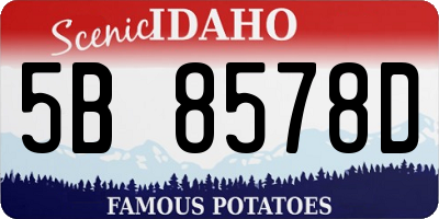 ID license plate 5B8578D
