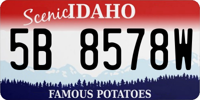 ID license plate 5B8578W