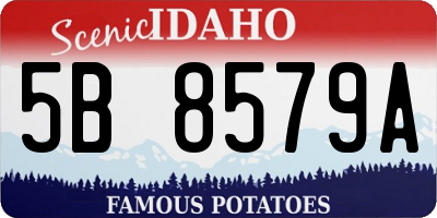 ID license plate 5B8579A