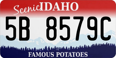 ID license plate 5B8579C